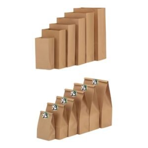 Bolsa Papel Kraft Biodegradable [x100]